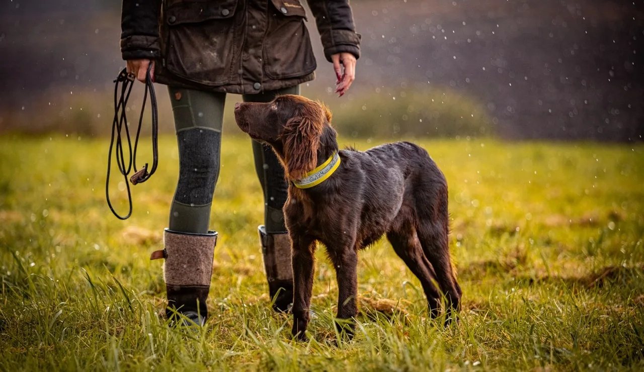 Groß Cleos Jagdwelt 204