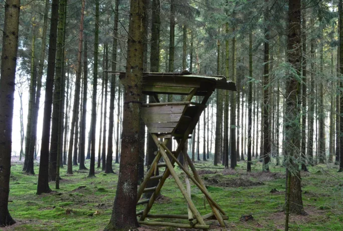 High seat 258239 1280