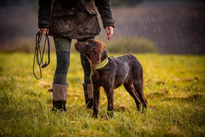 Groß Cleos Jagdwelt 204