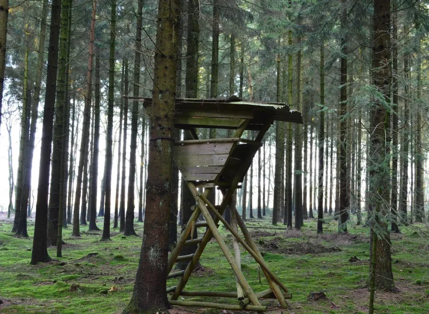 High seat 258239 1280