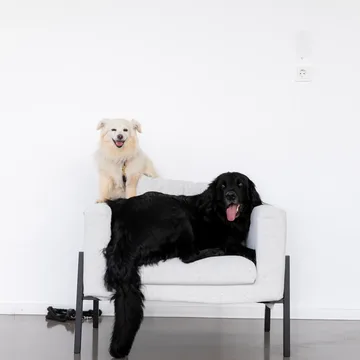 Bild von Lilly & Nike 